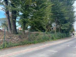 2024.09-17 ANTHONY PHOTO 1