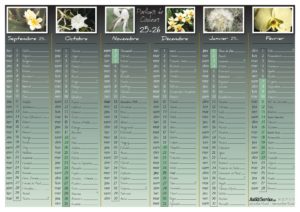 CAL mois 25-26 A - FLEURS