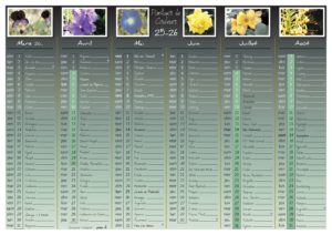 CAL mois 25-26 B - FLEURS