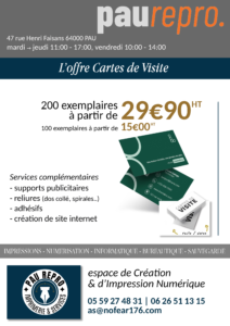 PR- FLYER offre cartes de visite2